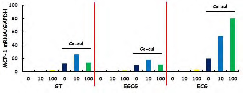 Figure 135. Effects of green tea-derived catechins on MCP-1 mRNA expression in RAW264.7/3T3-L1 co-cultures