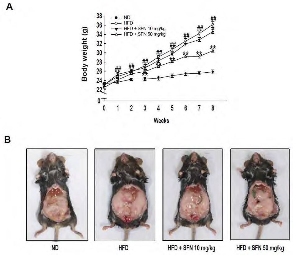 Figure 148. The effect of Sulforphane on HFD-induced increase of body weight