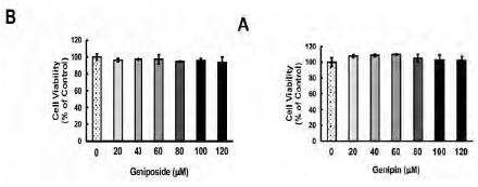 Figure 150. Effects of genipin and geniposide on cell viability in 3T3-L1 preadipocytes.