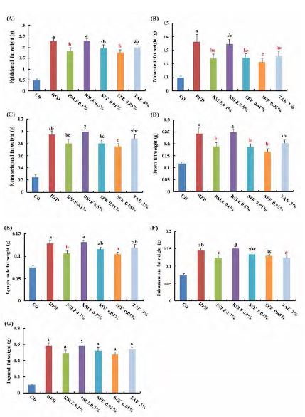 Figure 168. Effect of the RSLE, SFE and TAE on fat weights in C57BL/6J mice fed with high-fat diet