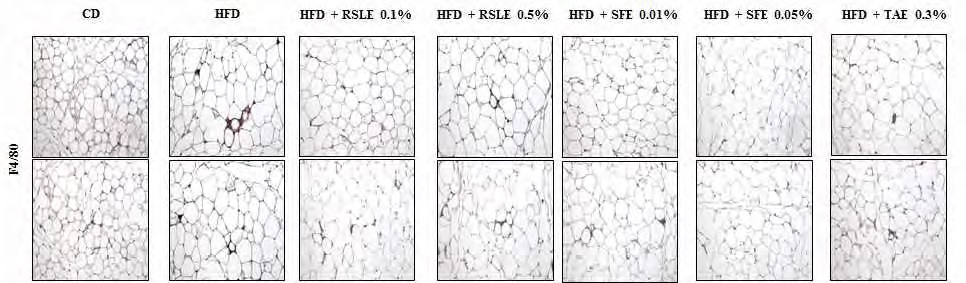 Figure 175. Effect of the RSLE, SFE and TAE on the macrophage infiltration in C57BL/6J mice fed with a high-fat diet