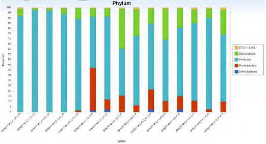 Figure 177. Gut microbiota composition (phylum level)