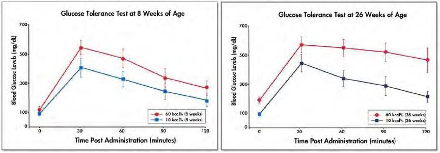 Figure 5. Oral Glucose Tolerance Test (OGTT) of C57BL/6J fed 10% kcal fat diet or 60% kcal fat diet