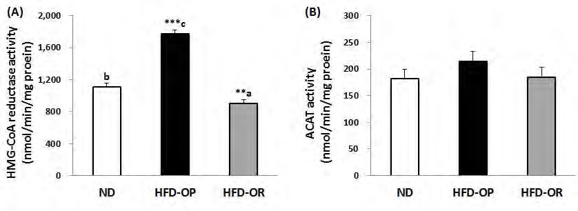 Figure 18. The hepatic HMGCR and ACAT activities of obese-prone and obese-resistant C57BL/6J mice whose phenotype was observed after feeding high-fat diet for 12 weeks