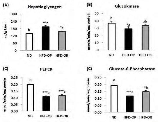 Figure 19. The hepatic glycogen content and glucose regulating enzymes activities of obese-prone and obese-resistant C57BL/6J mice whose phenotype was observed after feeding high-fat diet for 12 weeks