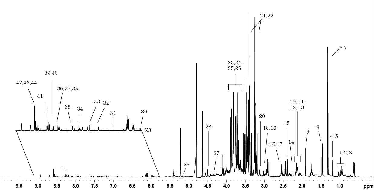 Figure 23. 1H NMR spectrum of liver polar extract. 1: Isoleucine, 2: Leucine, 3: Valine, 4: Propylene glycol, 5: 3-Hydroxybutyrate, 6: Lactate, 7: Threonine, 8: Alanine, 9: Acetate, 10: Glutamate, 11: Glutamine, 12: Methionine, 13: Glutathione, 14: Acetone, 15: Succinate, 16: Malate, 17: Dimethylamine, 18: Creatine, 19: Lysine, 20: Choline, 21: Betaine, 22: Taurine, 23: Glucose, 24: Methanol, 25: Glycine, 26: Maltose, 27: Inosine + Adenosine, 28: Ascorbate, 29: Mannose, 30: Uracil, 31: Fumarate, 32: Tyrosine, 33: Histidine, 34: Phenylalanine, 35: Niacinamide, 36: Xanthosine, 37: Uridine, 38: Xanthine, 39: Hypoxanthine, 40: Oxypurinol, 41: Formate, 42: AMP, 43: ADP, 44: ATP