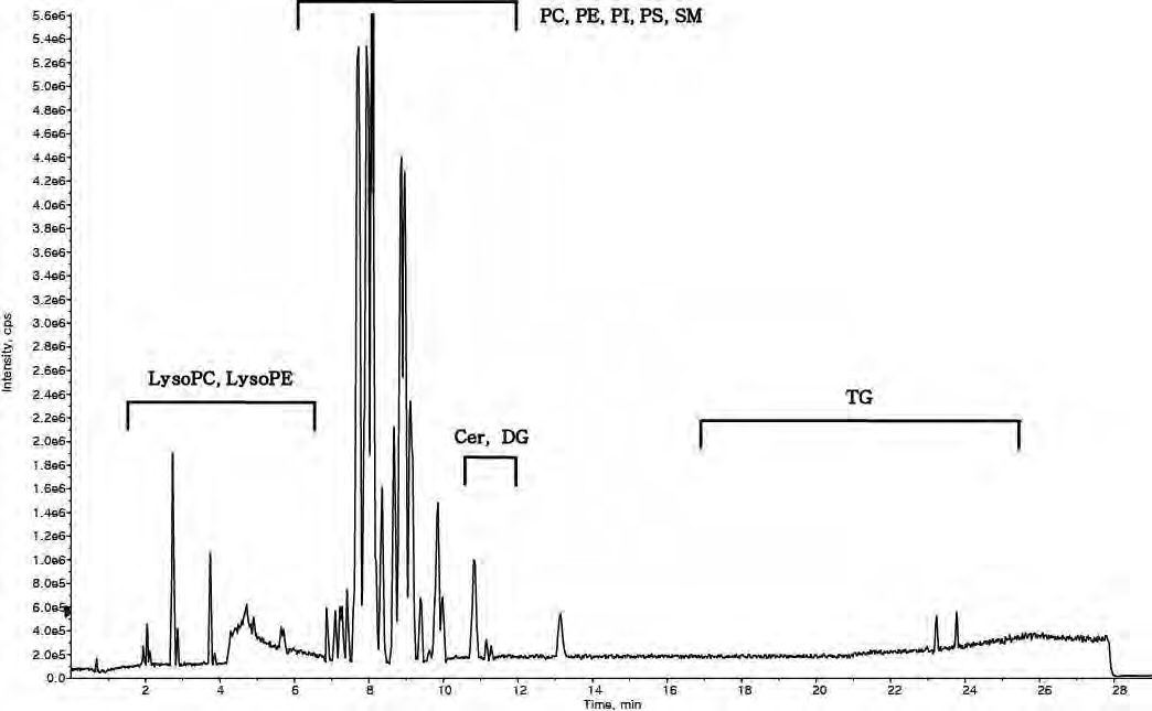 Figure 24. UPLC/Q-TOF spectrum of liver lipid extract - Positive mode