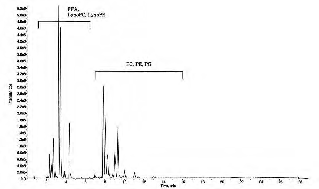 Figure 25. UPLC/Q-TOF spectrum of liver lipid extract - Negative mode