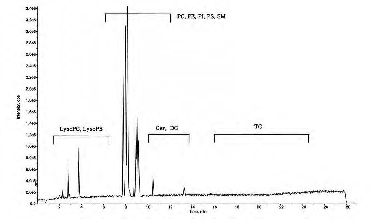 Figure 26. UPLC/Q-TOF spectrum of plasma lipid extract - Positive mode