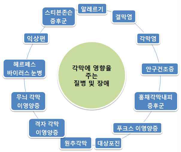 각막 질병 및 장애