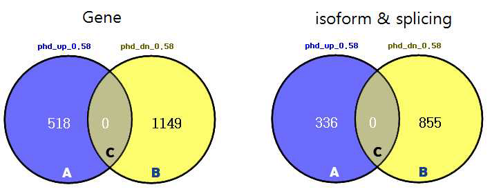 야생형과 AtPHD RNAi line 간의 RNA sequencing data 결과를 모식도로 나타낸 것.