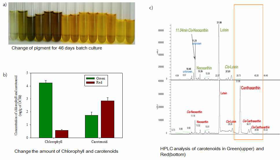 Ettlia의 young cell (6 day)와 senescent cell (50 days) pigment (a), chlorophyll (b),carotenoid profile (c) 분석