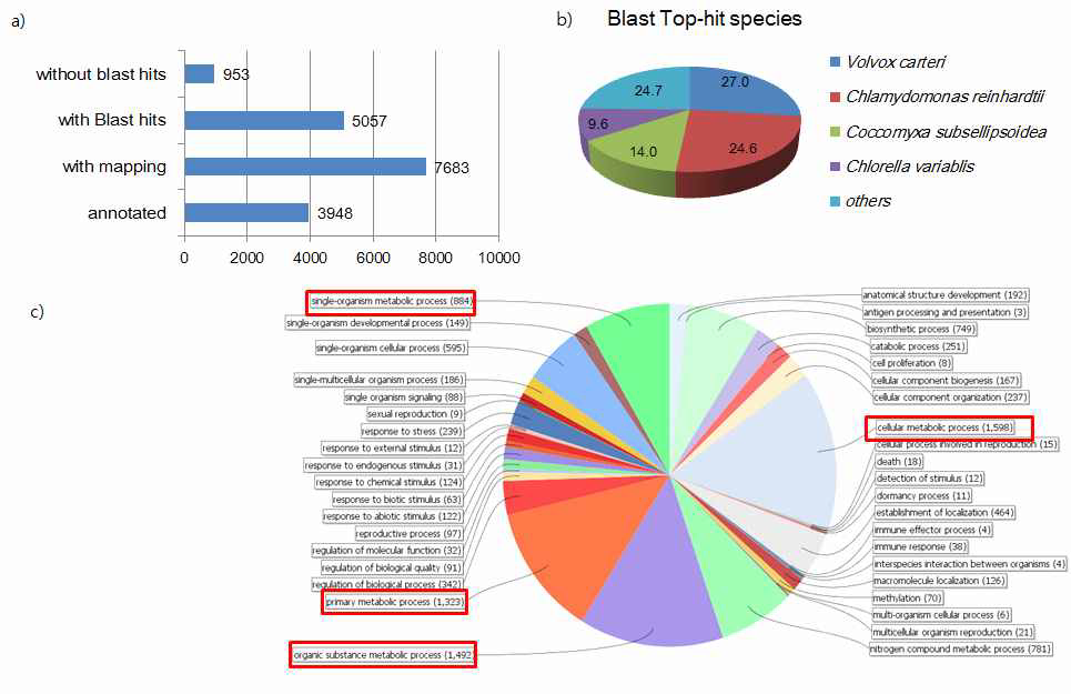 RNA-seq 데이터 분석. Blast search 요약