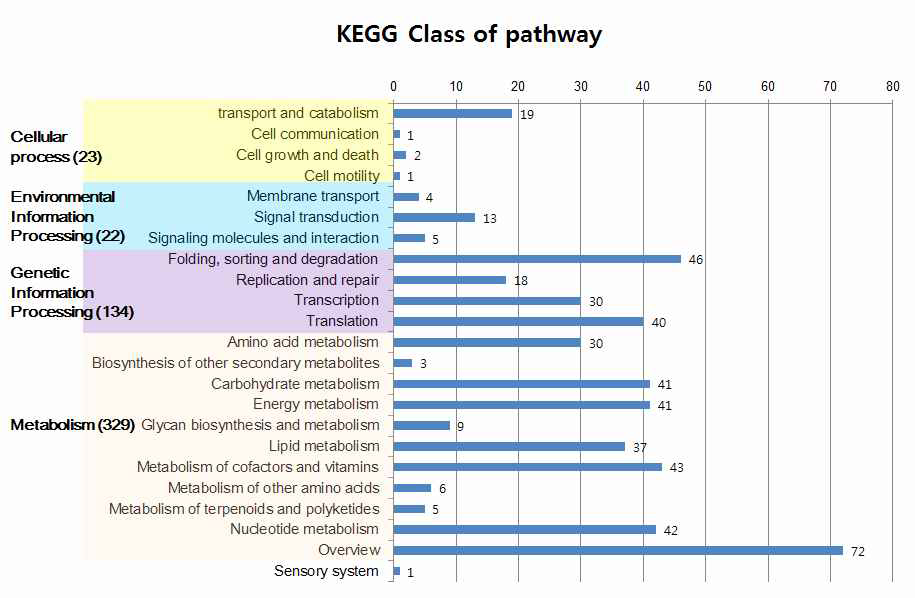 log2 (Fold change) >6 의 KEGG category 분석