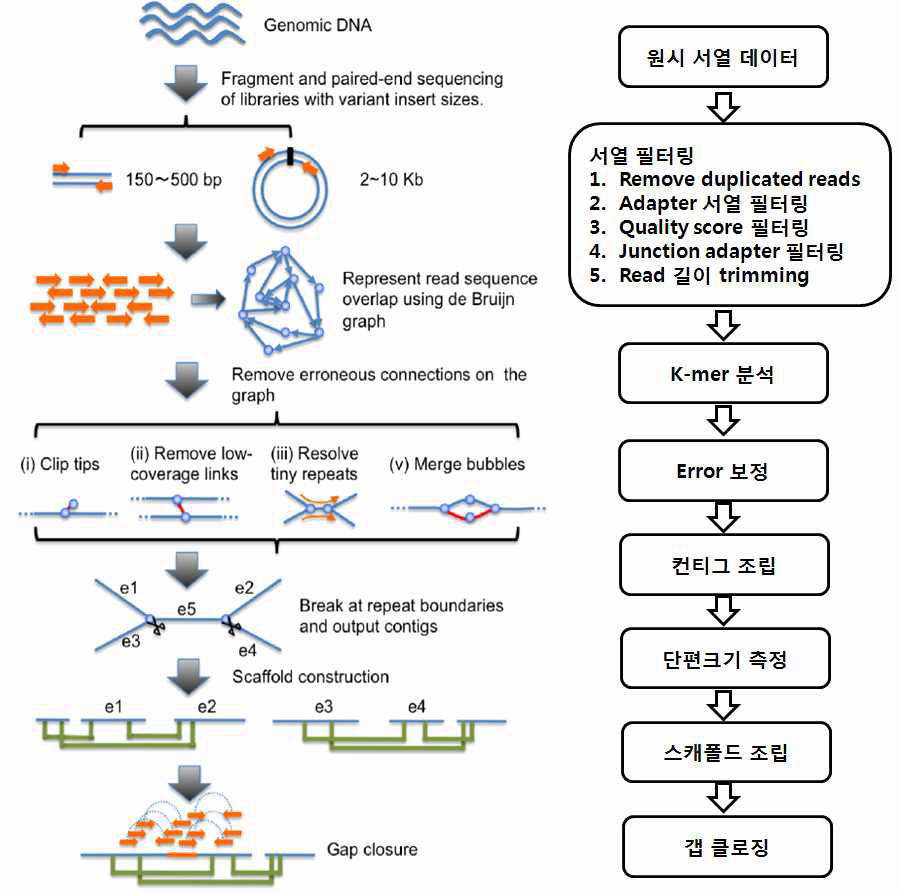 Ettlia genome assembly