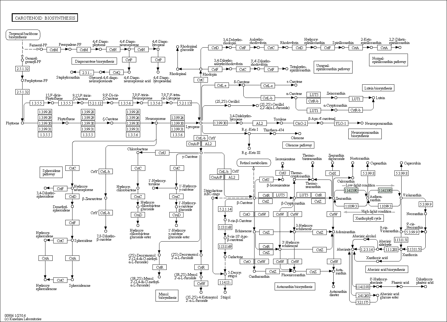 Carotenoid biosynthesis pathway in Ettlia