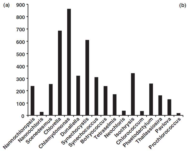조류 바이오연료에 사용된 미세조류가 포함된 논문 수