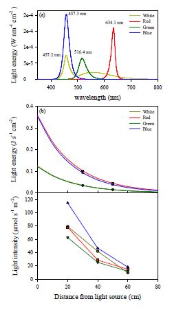 LED 광원별 파장 (a) 및 거리별 광도와 광 에너지 (b)