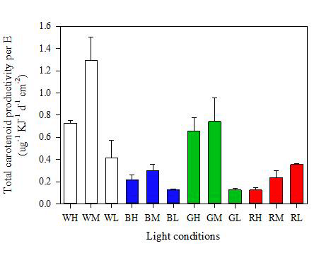 다양한 광원 조건에서 연속 배양된 Ettlia 종의 total carotenoid 생산성 비교.