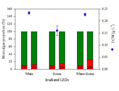 백색, 녹색, 그리고 백색+녹색 LED를 이용한 Ettlia sp. YC001와 Chlorellavulgairs 경쟁실험에서의 population 변화