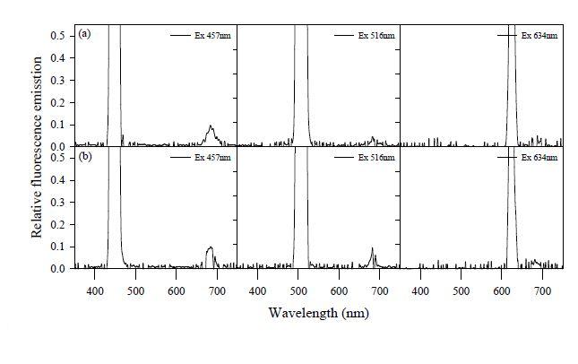 Ettlia sp. YC001 (a)와 Chlorella vulgaris (b)의 스펙트럼 스캔에 의한 광합성 특성 분석