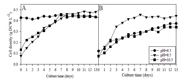 10% 이산화탄소 (A)와 1 N KOH/HCl (B)로 pH를 6.5, 8.5, 10.5으로 조절한 연속배양에서 배양된 Ettlia sp. YC001의 생장곡선
