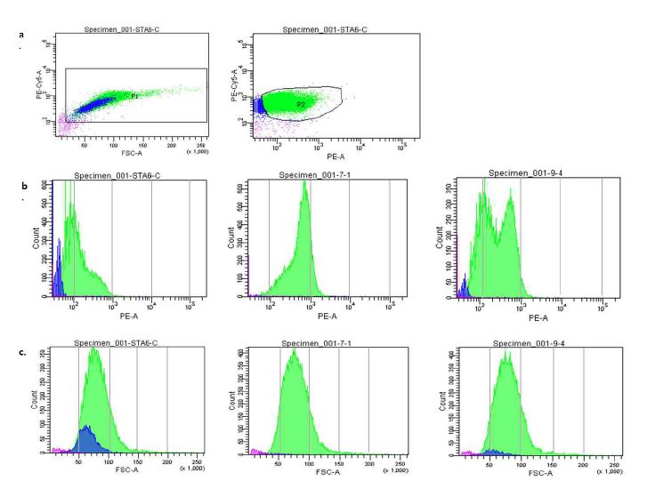 FACS analysis data of transformants.