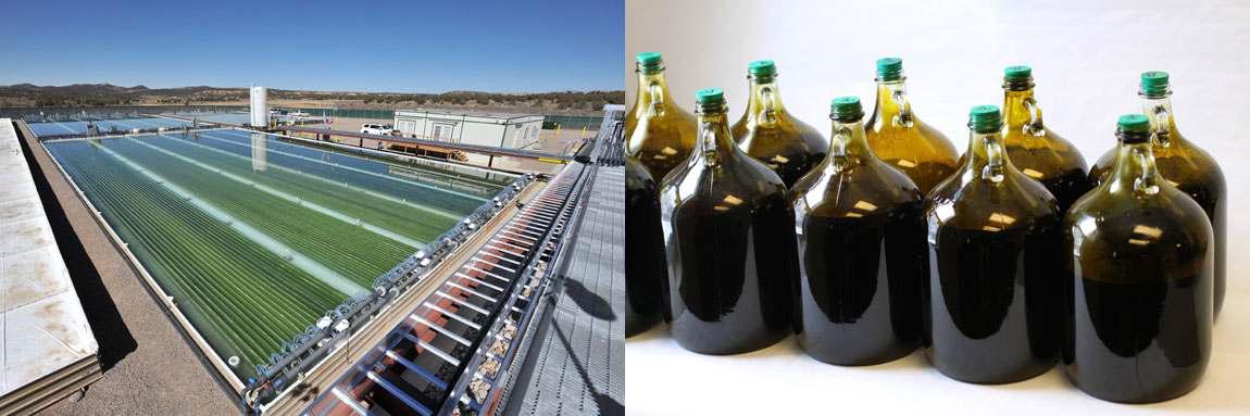 Solix BioSystems사의 Coyote Gulch algae biofuels demonstration facility (좌) 및 생산된 algae biocrude (우).