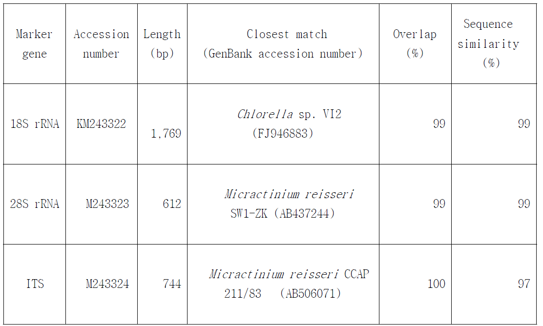 Strain KNUA034의 18S rRNA, 28S rRNA 및 ITS 염기서열을 이용한 BLAST search 결과