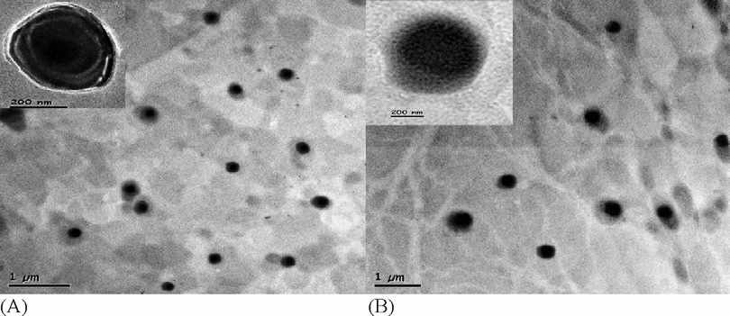 Fig. 17. 약물이 봉입된 키토산 리포좀의 TEM 사진