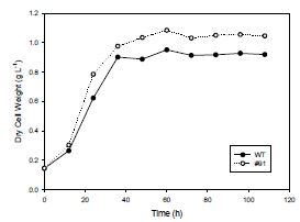 그림 2. Comparison of growth rate of Wild-Type and Mutant #91