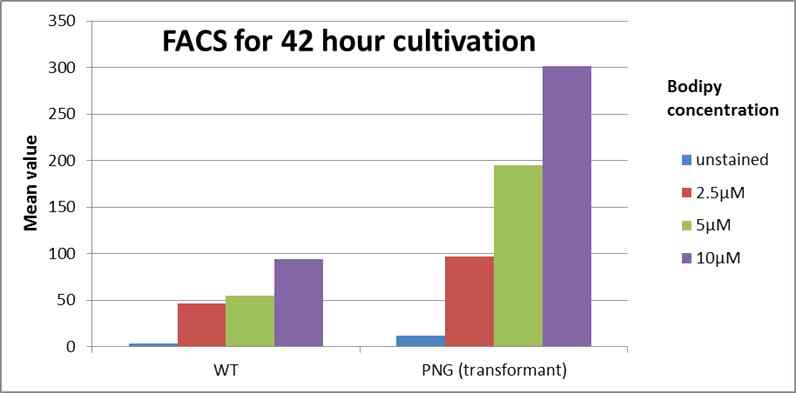 그림 14. 42시간동안 배양한 야생형과 형질전환체(PNG)의 FACS 분석 결과