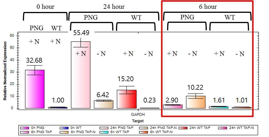 그림 24. 실시간 PCR을 통한 GAPDH cDNA 발현량 비교