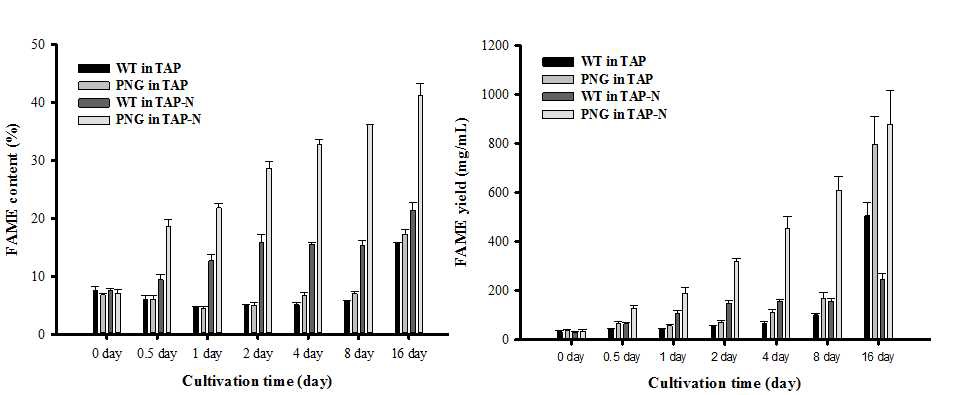 그림 26. 장기 배양(16일) 후 FAME 함량(좌) 및 FAME yield(우)