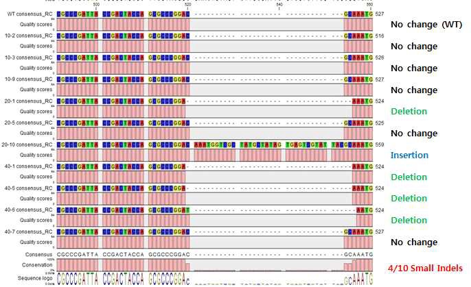 그림 34. CRISPR/Cas9에 의한 small indels (10개중 4개)