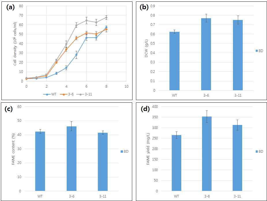 그림 47 NsbHLH2 형질전환체 N limitation condition phenotype assay (a) 성장곡선, (b) DCW, (c) FAME content, (d) FAME yield.