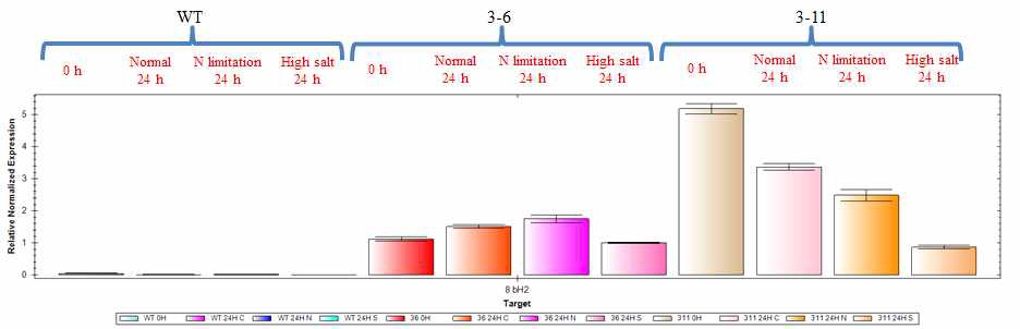 그림 50 도입된 bHLH2 qRT-PCR 발현량 분석