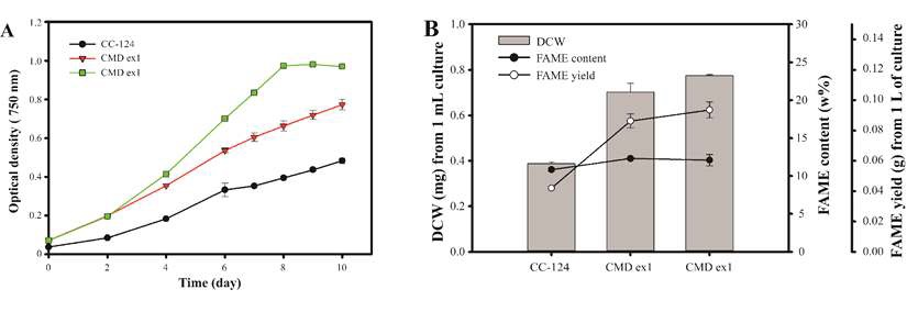 그림 60 Comparison of growth and FAME contents of haploid and diploid under low temperature