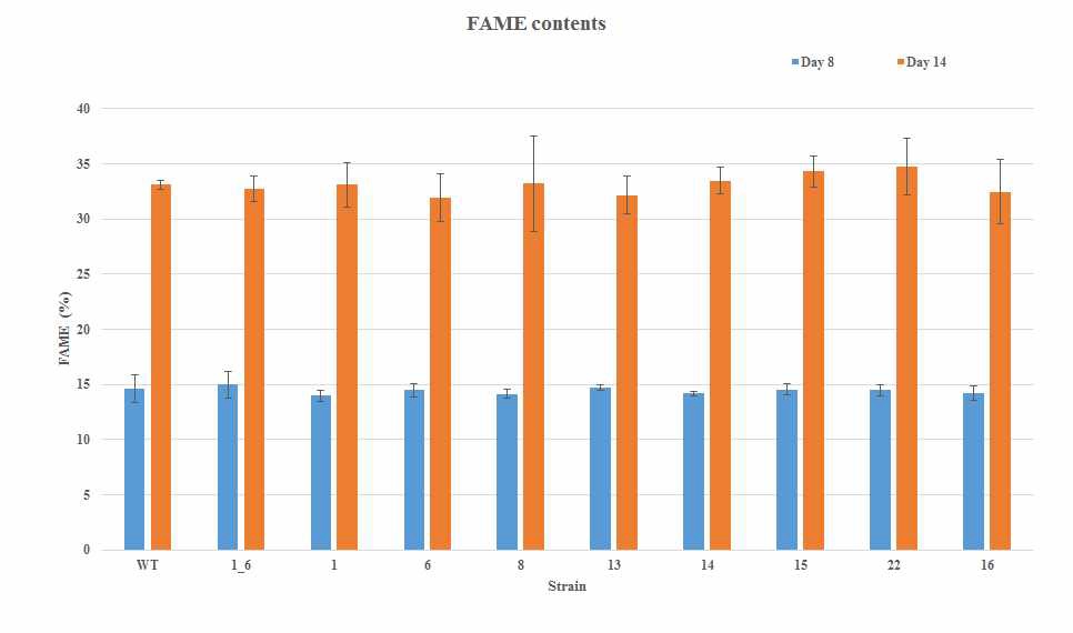 그림 70 Day 8과 Day 14에서의 FAME contents 비교