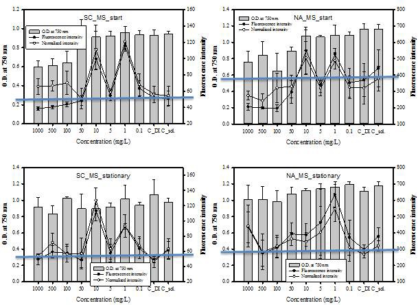 그림 23. MS를 Scenedesmus dimorphus , Nannochloropsis salina 에 처리를 하였을 시특정농도(10, 1mg/L)에서 fluorescence intensity가 2배 정도 증가하는 모습