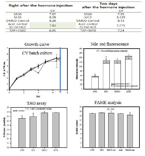 그림 24. Chlorella vulgaris 에 500 mg/L SA, 10 mg/L MS를 처리하였을 시 Growth curve와 nile red fluorescence, TAG assay, FAME analysis 결과