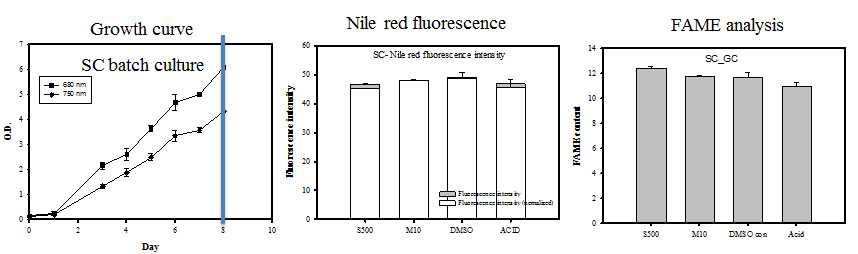 그림 26. Scenedesmus dimorphus 에 500 mg/L SA, 10 mg/L MS를 처리하였을 시 Growth curve와 nile red fluorescence, FAME analysis 결과