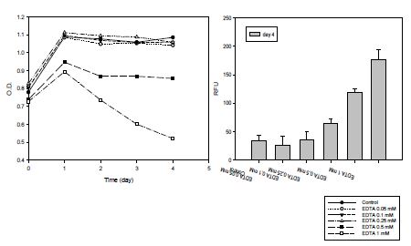 그림 31. C.reinhardtii 에 EDTA를 처리하였을 때의 시간에 따른 흡광도 변화 (왼쪽)와 배양후 4일 째에 나일 레드 염색하여 형광값을 측정 한 결과 (오른쪽). 실험 결과 EDTA의 농도가 증가할수록 흡광도가 감소하고 나일레드 형광값이 증가하는 것을 알 수 있었다.