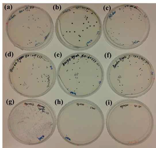 그림 32. N. salina colony at different condition. (a) noble agar with 80% used media, (b) noble agar with 40% used media, (c) noble agar with 0% used media, (d) bacto agar with 80% used media, (e) bacto agar with 40% used media, (f) bacto agar with 0% used media, (g) agarose with 80% used media, (h) agarose with 40% used media, (i) agarose with 0% used media