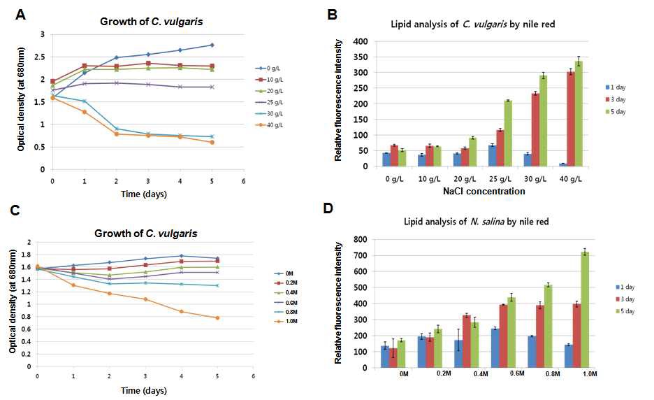 그림 39. Osmotic stress 조건하에서Chlorella vulgaris , Nannochloropsis salina )의 생장과 지질합성