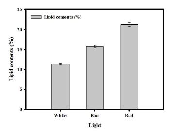 그림 69. Lipid contents of N. gaditana from turbidostat cultivation at steady state under each light illumination