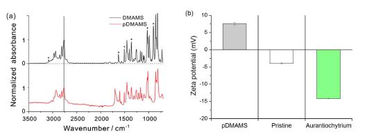 그림 5. (a) pDMAMS가 코팅된 멤브레인과 DMAMS 단량체의 FT-IR spectra (b) pDMAMS가 코팅된 멤브레인, 코팅되지 않은 멤브레인 (Pristine), 미세조류 자체 (Aurantiochytrium) 의 제타 포텐셜 그래프