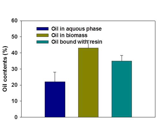 그림 8. Distribution of oil in different phase, oil bound with biomass, oil released into water and oil bound with resin