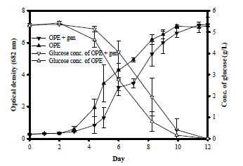 그림 8. Gentamicin이 첨가된 OPE와 첨가되지 않은 OPE의 성장 곡선 및 glucose 농도 변화