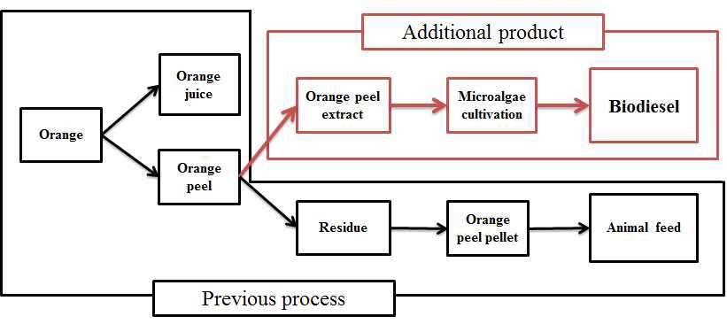 그림 9. Orange peel을 이용한 미세조류 배양 system